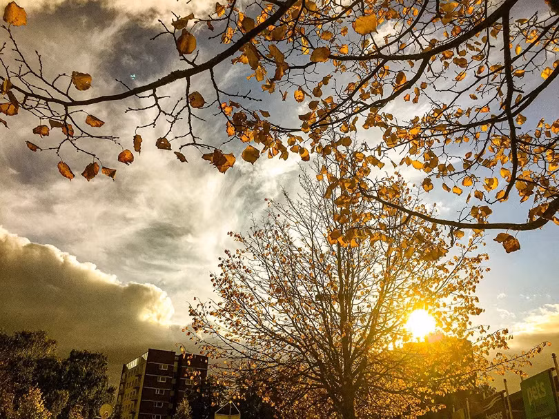 Cảnh sắc mùa thu trên toàn thế giới