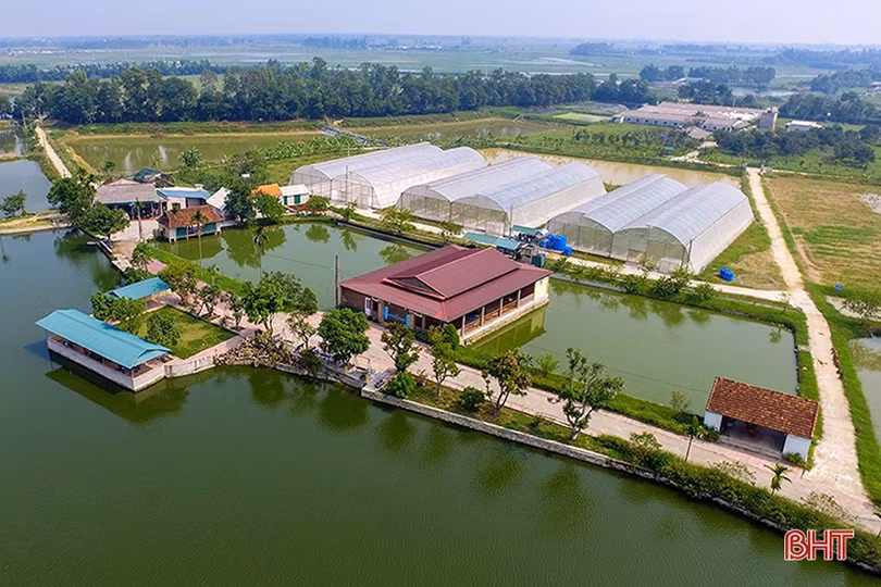 Đoàn đại biểu Hà Tĩnh dâng hương tưởng niệm các Tổng Bí thư Trần Phú, Hà Huy Tập