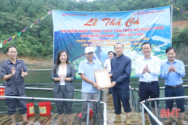 Vũ Quang nuôi thí điểm hơn 13.600 con cá giống trong lòng hồ Ngàn Trươi