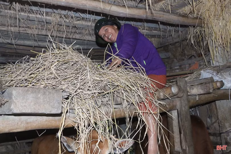 Nước sông Ngàn Sâu lên nhanh, người dân “rốn lũ” Vũ Quang khẩn trương dọn đồ chạy lũ