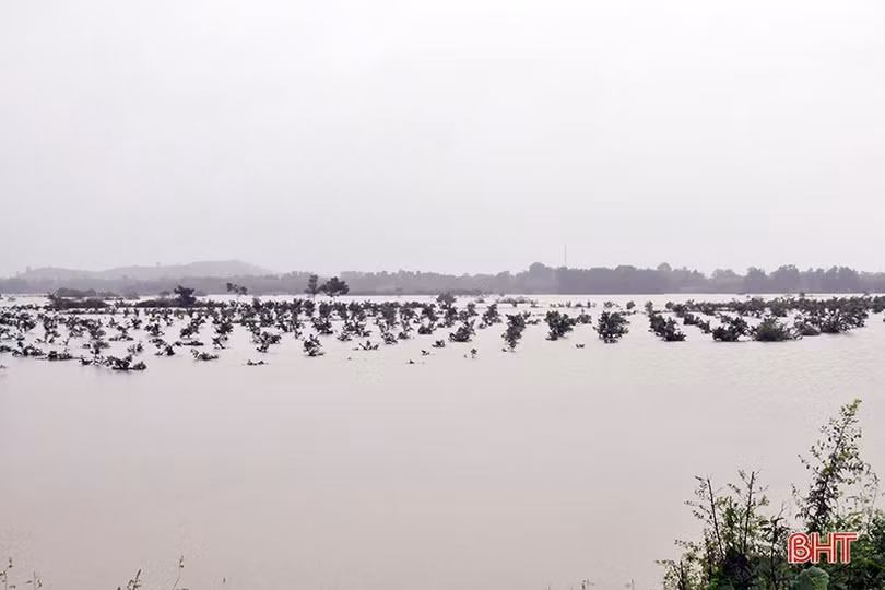 Nước sông lên cao, nhiều nhà dân ở Hương Khê ngập sâu trong lũ