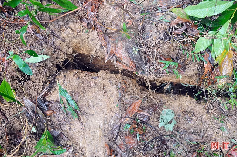 Xuất hiện vết nứt hàng chục mét trên núi, Hương Khê gấp rút sơ tán người dân