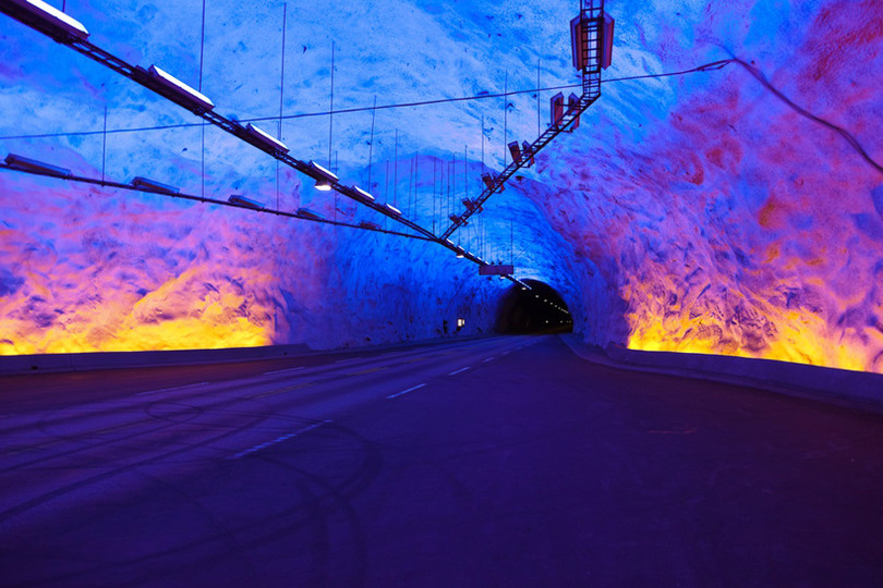 Ngắm cây hoa anh đào 2.000 tuổi