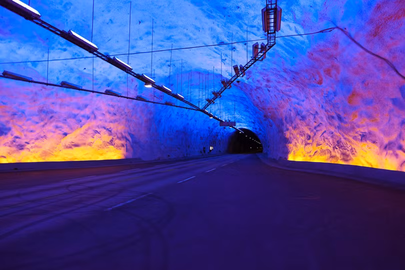 Ngắm cây hoa anh đào 2.000 tuổi