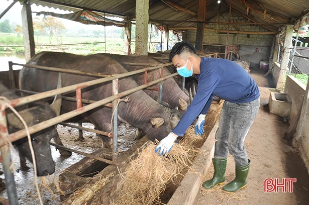 Dư nợ của Ngân hàng Chính sách xã hội Hà Tĩnh tăng hơn 197 tỷ đồng