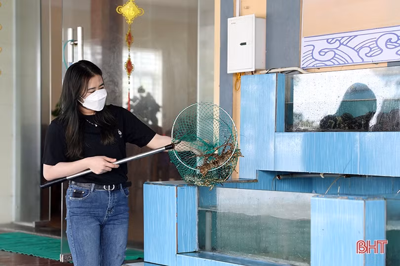 Tạo động lực mới cho “công nghiệp không khói” ở thị xã phía Nam Hà Tĩnh