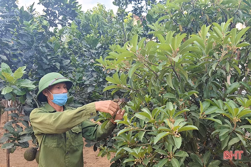 Người cán bộ thôn nêu gương sáng học và làm theo lời Bác