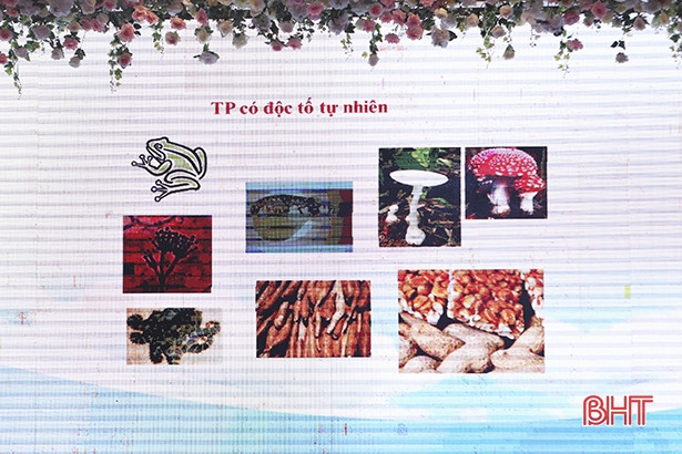 200 cán bộ, hội viên phụ nữ Hà Tĩnh được trang bị kiến thức về an toàn thực phẩm, xây dựng gia đình hạnh phúc