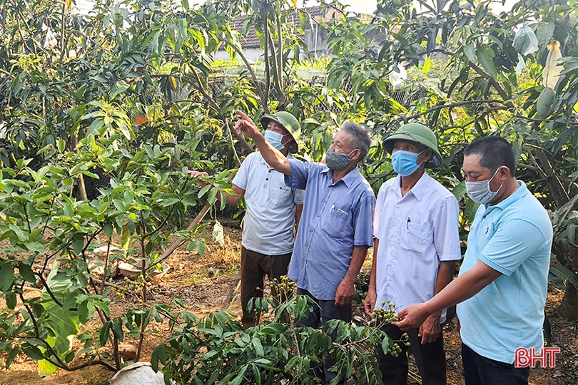 Người cán bộ thôn nêu gương sáng học và làm theo lời Bác ảnh 6 Người cán bộ thôn nêu gương sáng học và làm theo lời Bác