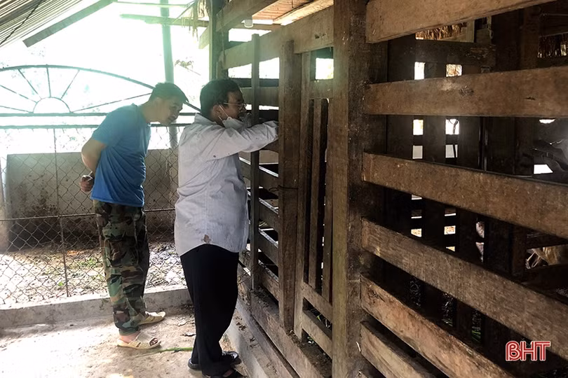 Chiêm ngưỡng cặp nhung hươu “khủng” ở Hà Tĩnh