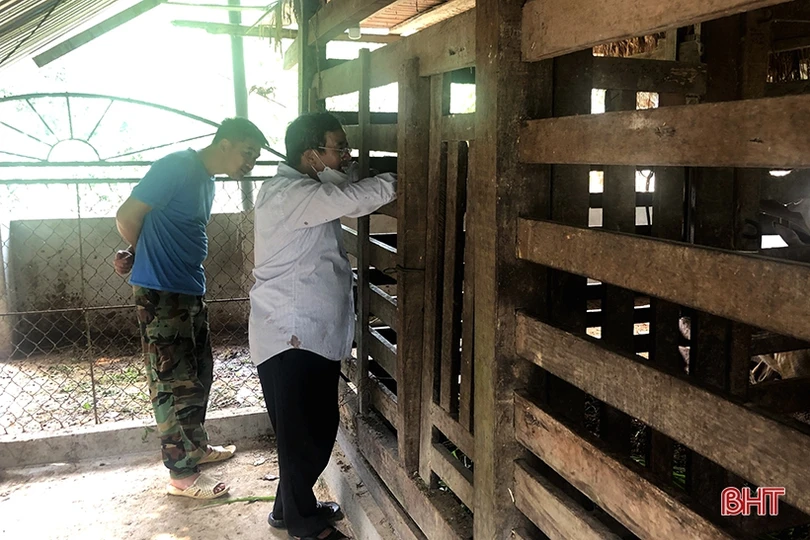 Chiêm ngưỡng cặp nhung hươu “khủng” ở Hà Tĩnh