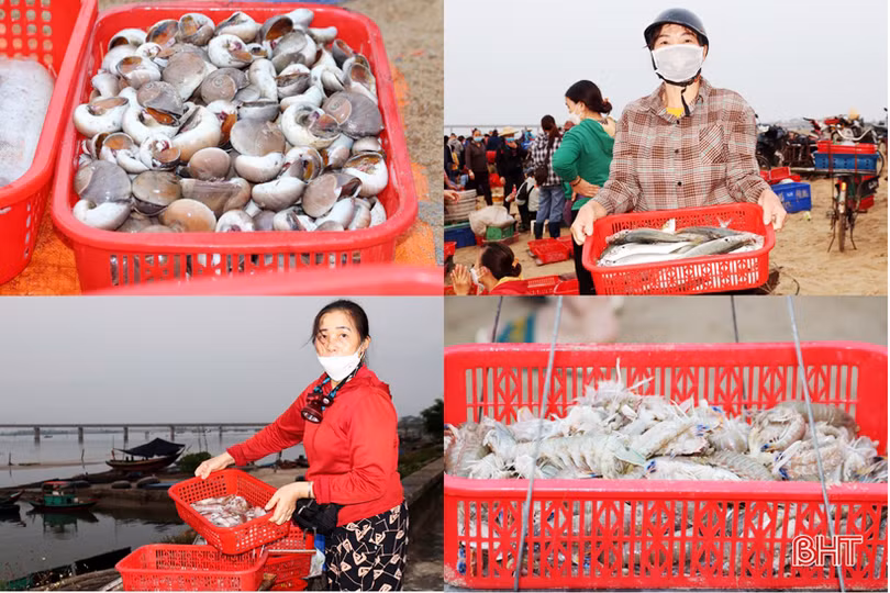 Hải sản tươi sống “đắt khách”, ngư dân Hà Tĩnh phấn khởi vươn khơi