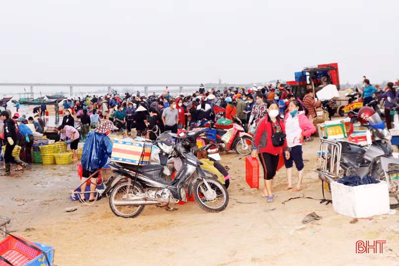 Hải sản tươi sống “đắt khách”, ngư dân Hà Tĩnh phấn khởi vươn khơi