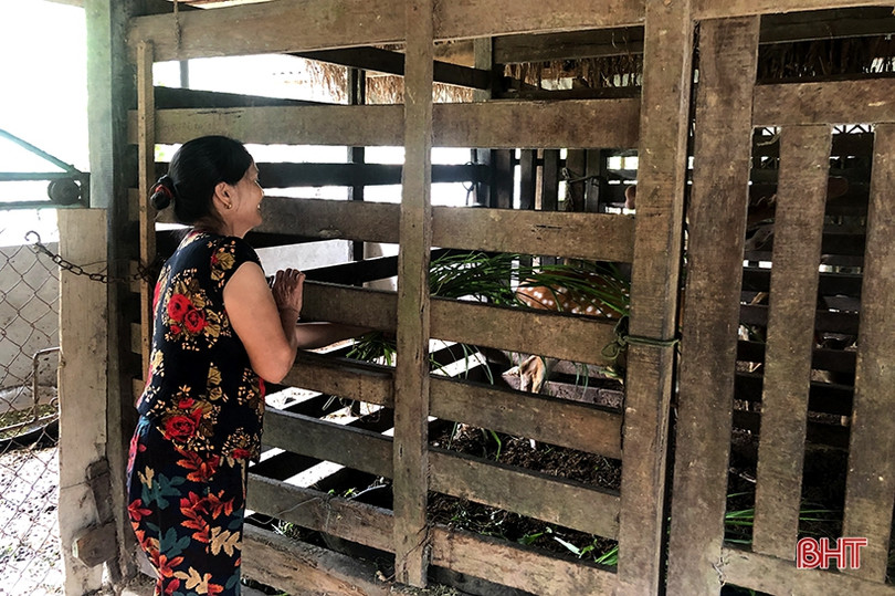 Chiêm ngưỡng cặp nhung hươu “khủng” ở Hà Tĩnh