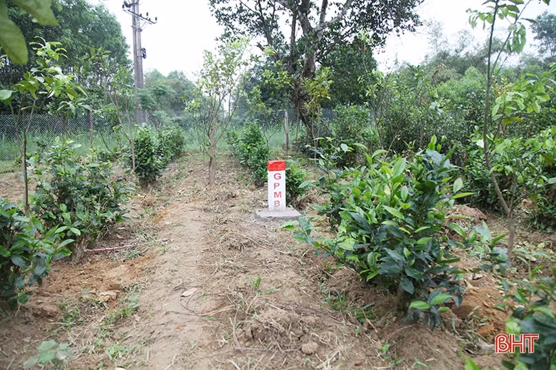 Tạo đồng thuận trong Nhân dân để xây cao tốc Bắc - Nam đoạn qua Hà Tĩnh