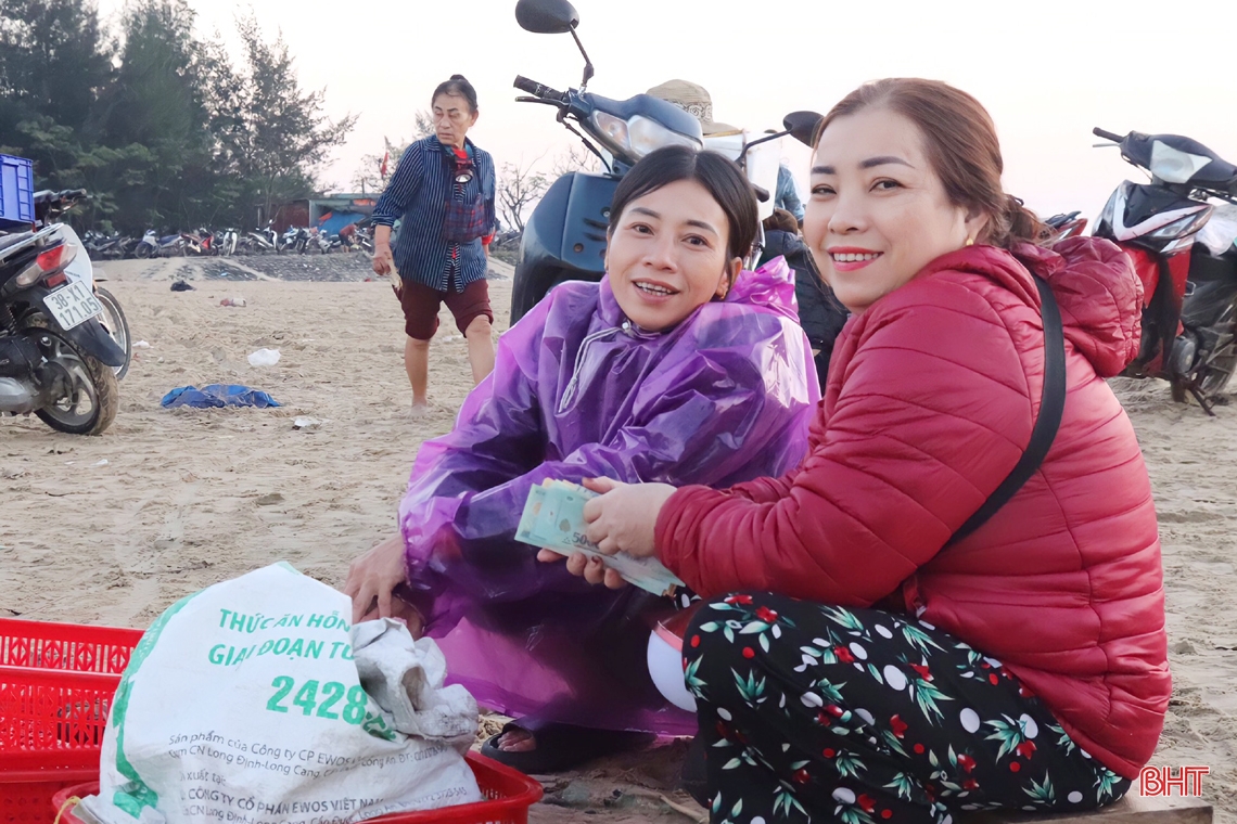 Ngư dân Hà Tĩnh trúng đậm hải sản ảnh 10 Ngư dân Hà Tĩnh trúng đậm hải sản