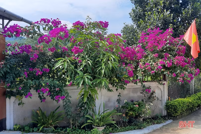 “Nhà sạch, vườn đẹp” giúp đoàn viên công đoàn huyện miền núi Hà Tĩnh ngày càng khấm khá