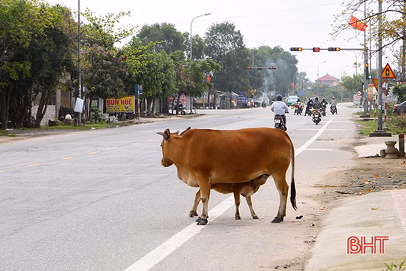 Hương ước làng ở Hà Tĩnh, từ văn bản đến thực tiễn