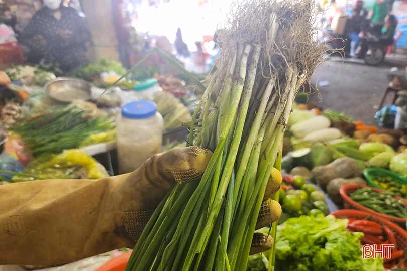 Giá hành lá tại các chợ Hà Tĩnh cao nhất từ trước đến nay, 70.000 đồng/kg