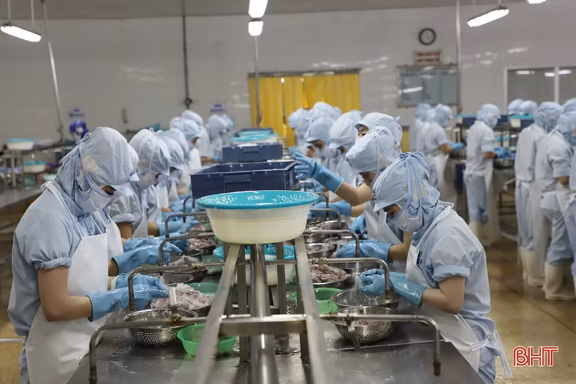 Thủy sản Nam Hà Tĩnh nỗ lực cán đích mục tiêu kinh doanh chặng cuối năm