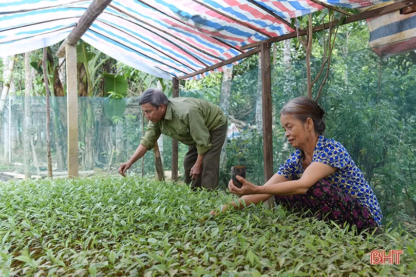 Gương sáng hiến đất mở đường ở huyện miền núi Hà Tĩnh