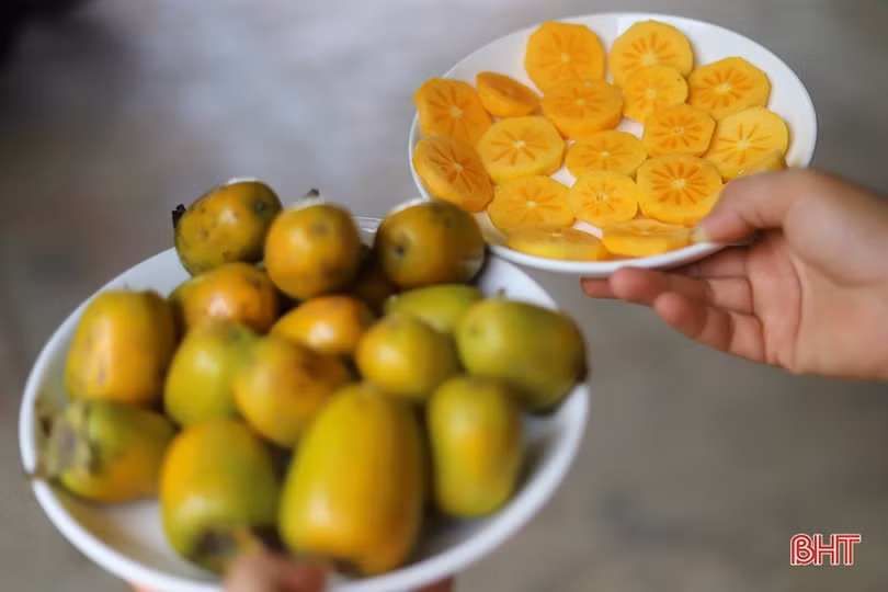 Mùa hồng giòn “bội thu” của nông dân Vũ Quang