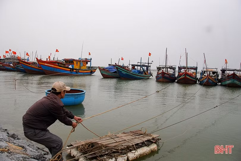 Ngư dân Nghi Xuân yên tâm khi có khu neo đậu tàu thuyền tránh trú bão