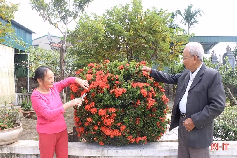 Nước rút” về đích phát triển KT-XH ở thành phố trung tâm Hà Tĩnh