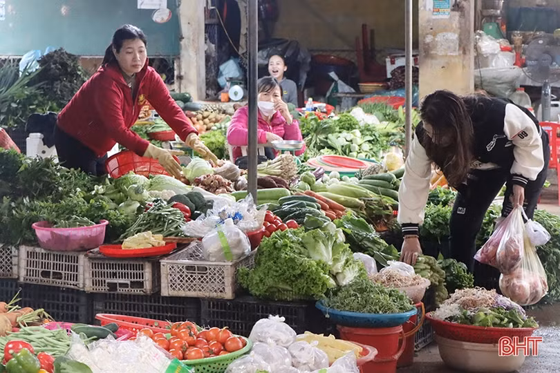 Rau được giá, nông dân Hà Tĩnh phấn khởi bám đồng sản xuất