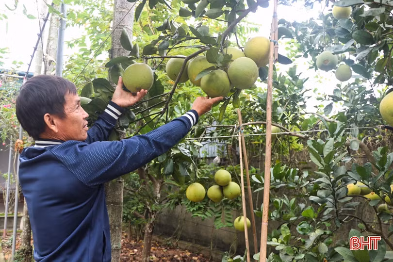 Xuân Lộc dồn sức, quyết tâm về đích sớm nông thôn mới nâng cao