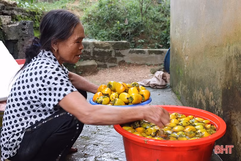 Mùa hồng giòn “bội thu” của nông dân Vũ Quang