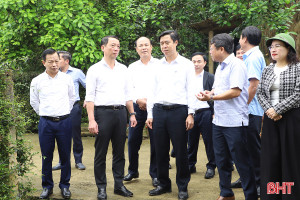 Chủ tịch UBND tỉnh kiểm tra thực tế và chỉ đạo sản xuất đầu xuân Bính Ngọ