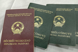 Người đứng đầu cơ quan chuyên môn UBND cấp xã được cấp hộ chiếu công vụ