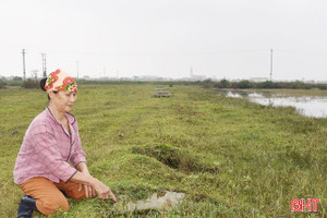 Dự án nuôi trồng thủy sản "mòn mỏi" chờ nhà đầu tư