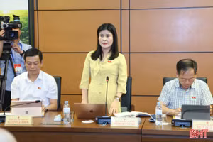 Đoàn ĐBQH Hà Tĩnh thảo luận tổ về tình hình phát triển kinh tế - xã hội