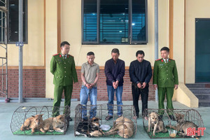 Bắt nhóm “cẩu tặc” trang bị súng điện, hung khí nguy hiểm