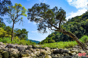Phê duyệt đề án du lịch sinh thái, giải trí Vườn quốc gia Vũ Quang