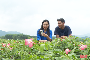 Tuổi trẻ Hà Tĩnh tiên phong chuyển đổi số