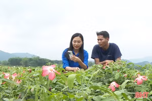 Tuổi trẻ Hà Tĩnh tiên phong chuyển đổi số