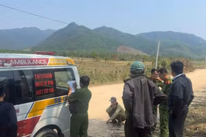 Nhân viên bảo vệ rừng bị ong đốt, 1 người chết, 4 người bị thương