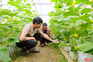Lan tỏa tinh thần đổi mới sáng tạo trong nông dân