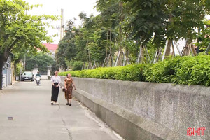 Biến hàng rào thành điểm nhấn xanh: Xu hướng mới tại TP Hà Tĩnh
