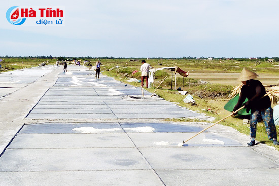 Tuổi xế chiều vẫn oằn lưng trên ruộng muối ảnh 15 tuoi xe chieu van oan lung tren ruong muoi