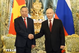 Tổng Bí thư, Chủ tịch nước Tô Lâm hội đàm với Tổng thống Nga Vladimir Putin