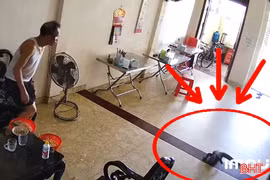 Tá hỏa khi kỳ đà hoa nặng 6kg chạy vào nhà