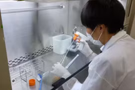 Lần đầu tiên phát triển thuốc dựa trên virus điều trị ung thư thực quản