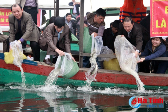 Thả cá nhằm tái tạo nguồn lợi thủy sản