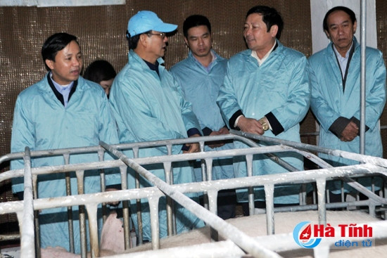 Trước đó, sáng 29/3, đoàn công tác Liên minh Hợp tác xã Việt Nam đã đến tham quan một số mô hình kinh tế tập thể tại huyện Kỳ Anh và nhà máy chế biến súc sản Mitraco (thị xã Kỳ Anh).