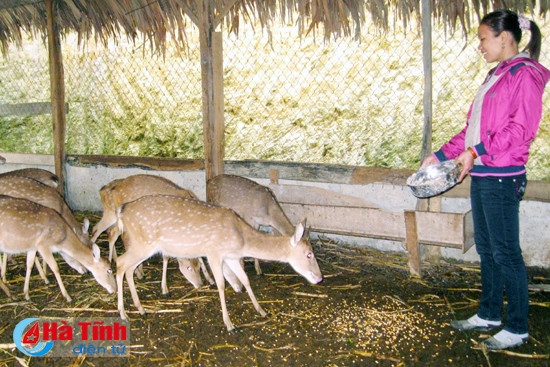 Công tác giám sát và phản biện về vấn đề tiếp cận các chính sách hỗ trợ phát triển nông nghiệp, nông thôn được chú trọng, nên ngày càng xuất hiện nhiều tấm gương phụ nữ làm kinh tế giỏi.