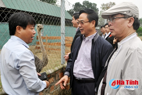 ... tham quan mô hình trang trại tổng hợp tại xã Sơn Tây...